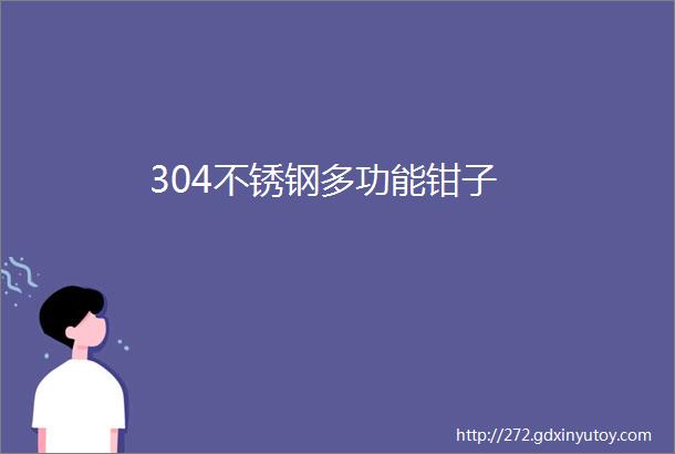 304不锈钢多功能钳子