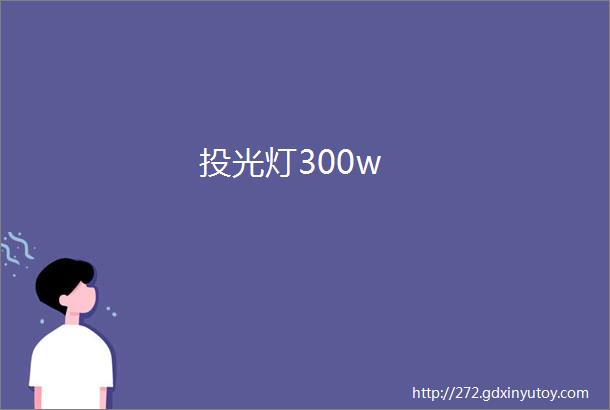 投光灯300w