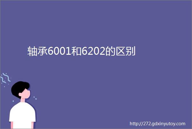 轴承6001和6202的区别