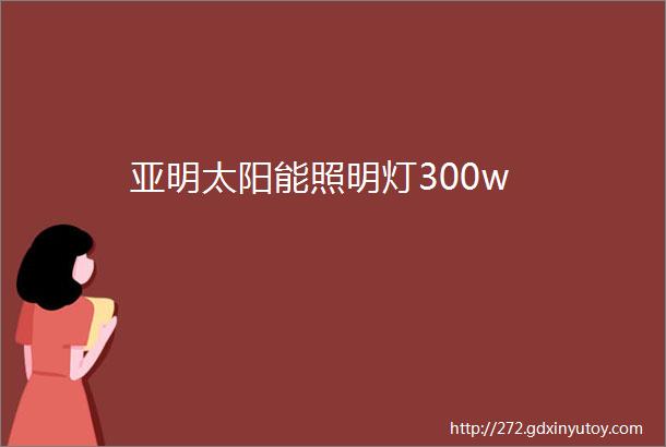 亚明太阳能照明灯300w