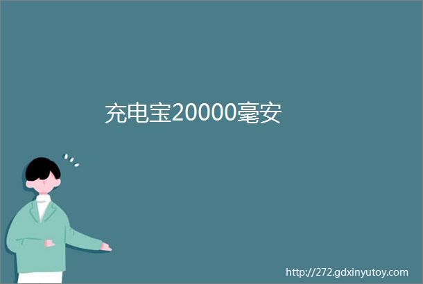 充电宝20000毫安